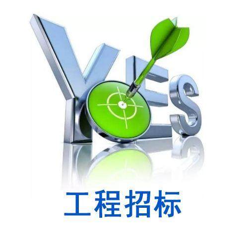 建筑工程招标代理典型业绩
